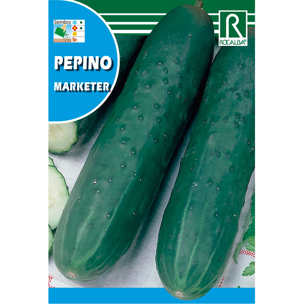 1055-pepino-marketer