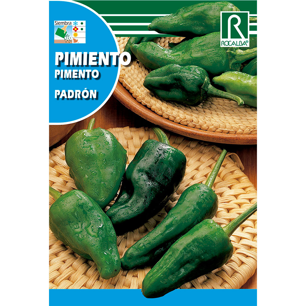 1175-pimiento-padron