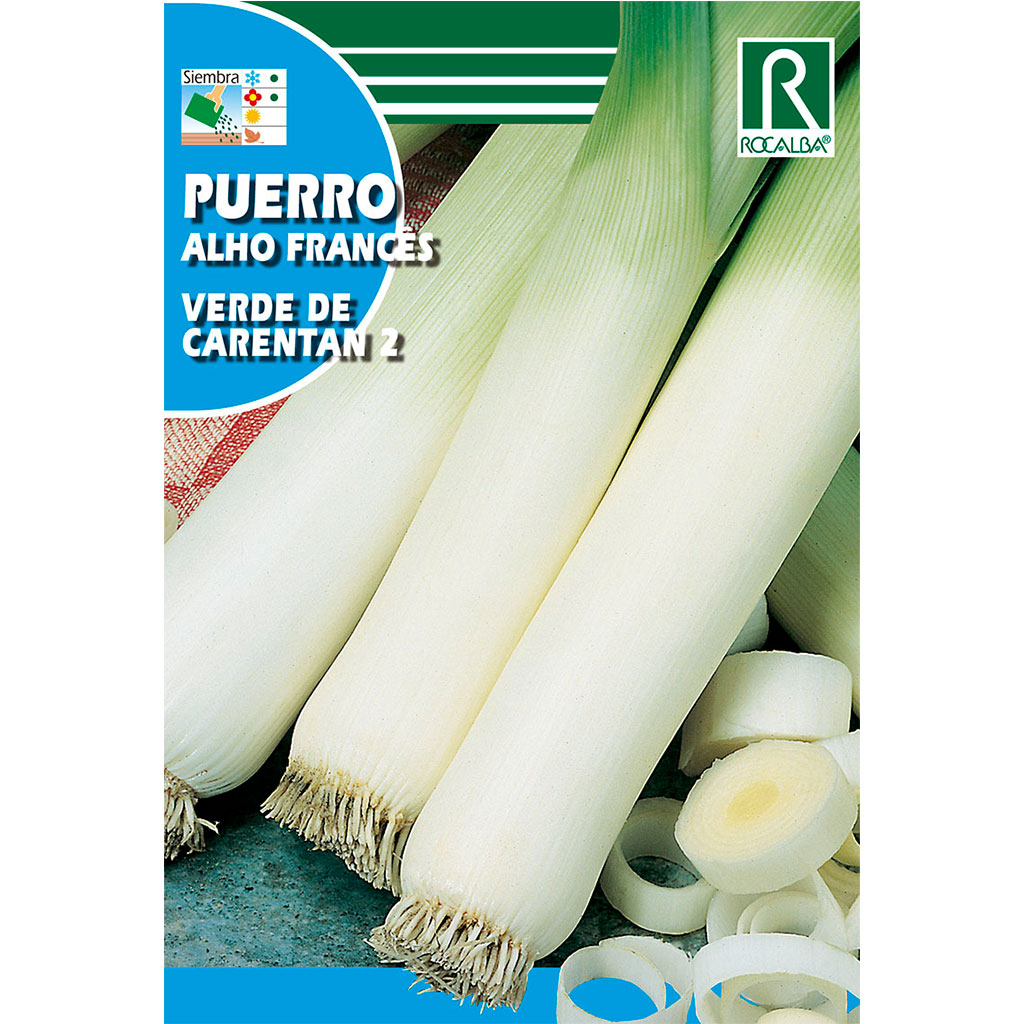 1235-puerro-verde-de-carentan-2
