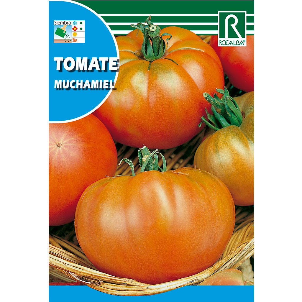 1455-tomate-muchamiel