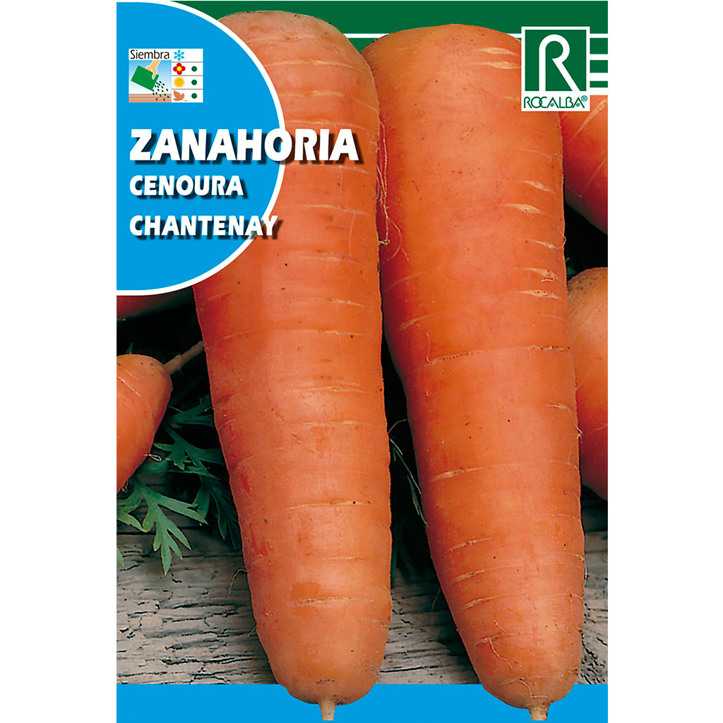 1525-zanahoria-chantenay