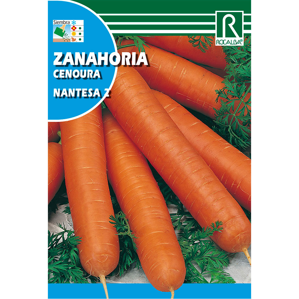 1555-zanahoria-nantesa-2