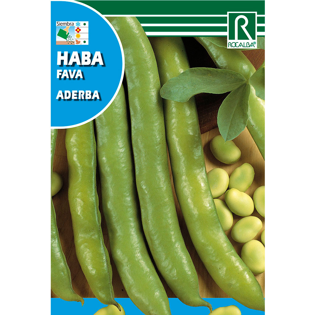 4165-habas-aderba-extra-larga