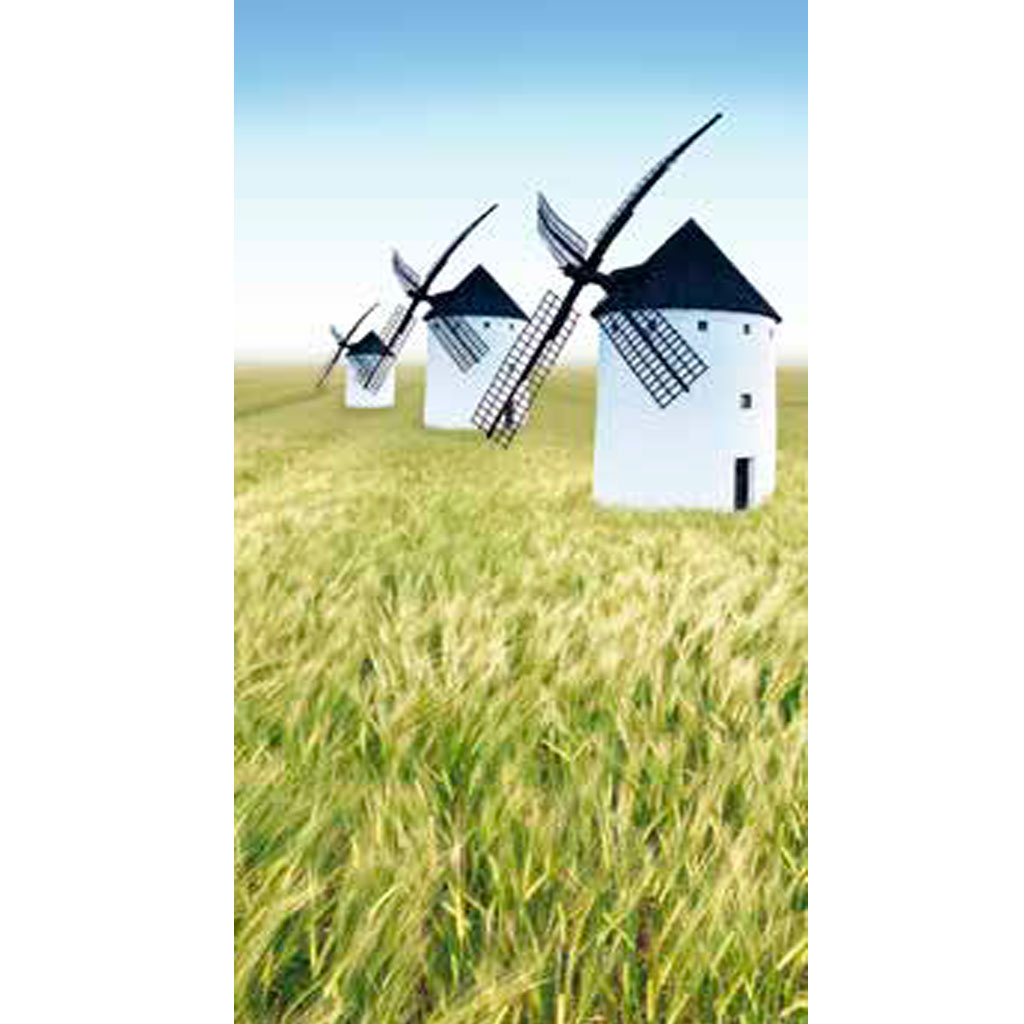 dulcinea-cebada-de-invierno-ciclo-medio