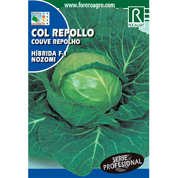 SHBP0426-00-COL-REPOLLO-HIBRIDA-F1-NOZOMI