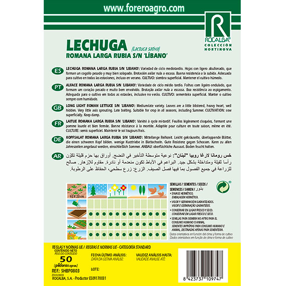 SHBP0803-01-LECHUGA-ROMANA-LARGA-RUBIA-SN-LIBANO