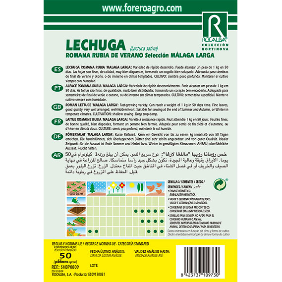 SHBP0809-01-LECHUGA-ROMANA-RUBIA-DE-VERANO-SELECCION-MALAGA-LARGA