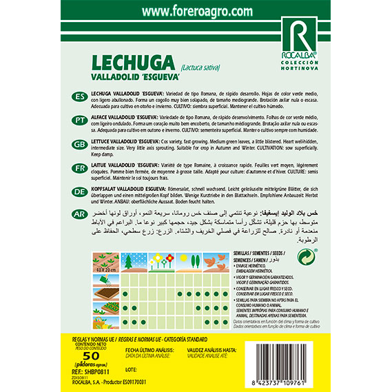 SHBP0811-01-LECHUGA-VALLADOLID-ESGUEVA