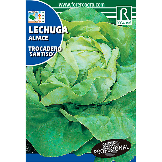 SHBP0813-00-LECHUGA-TROCADERO-SANTISO