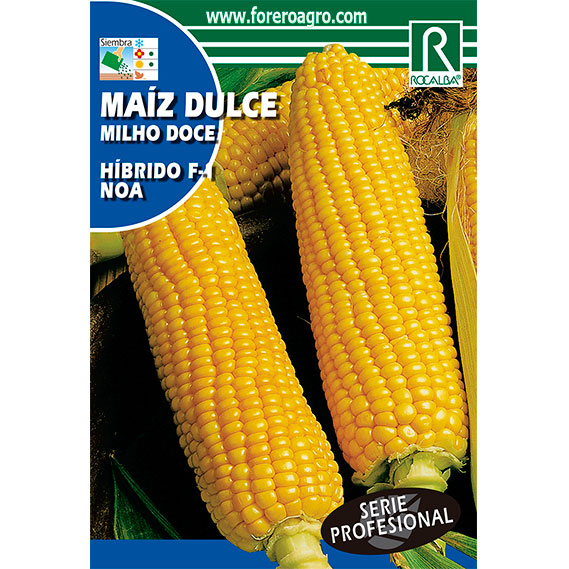 SHBP0920-00-MAIZ-DULCE-HIBRIDO-F1-NOA