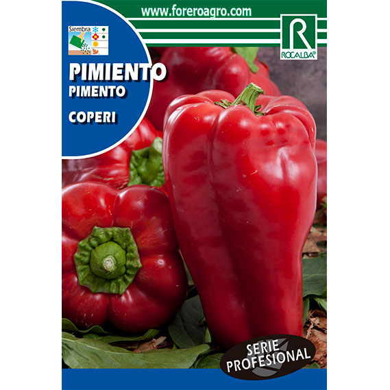 SHBP1170-00-PIMIENTO-COPERI