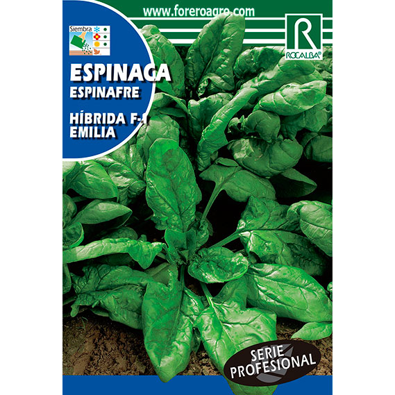 SHBP4030-00-ESPINACA-HIBRIDA-F1-EMILIA