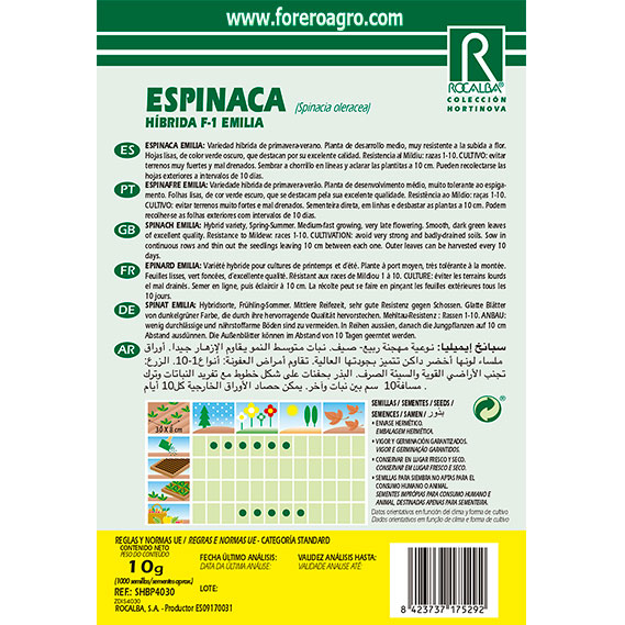 SHBP4030-01-ESPINACA-HIBRIDA-F1-EMILIA
