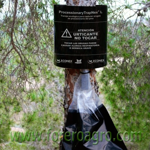 PROCESSIONARYTRAPNEX TRAMPA PROCESSIONARYTRAPNEX PROCESIONARIA PINO